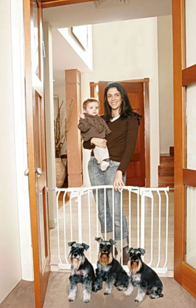 Gates and Pet Baby